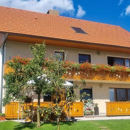 Apartma Ana In Manca Begunje na Gorenjskem Exterior photo